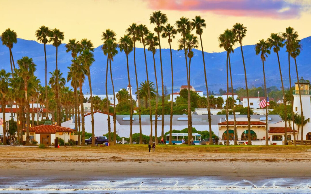 palm trees and beach in California