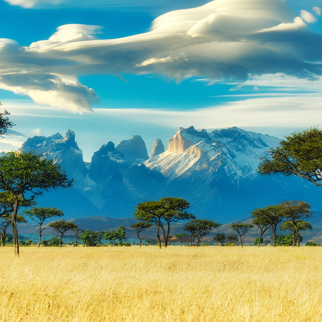 south africa grassland mountains
