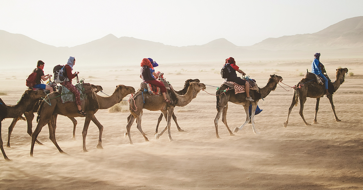 camels desert multigenerational travel