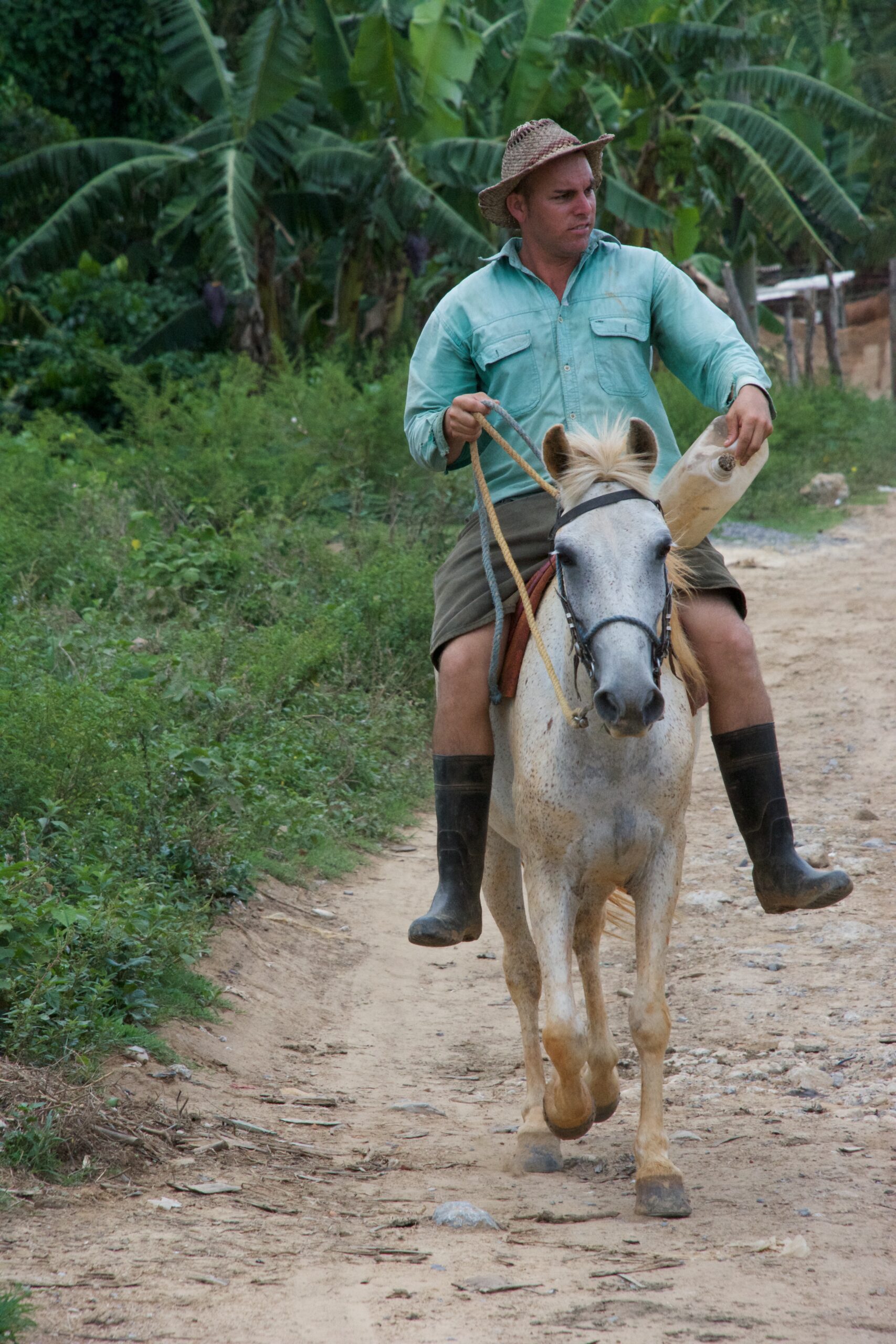 Tobacco farmer on horseback in Vinales Cuba