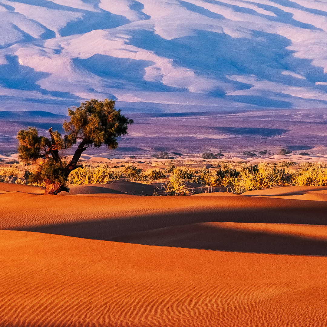 south africa desert landscape