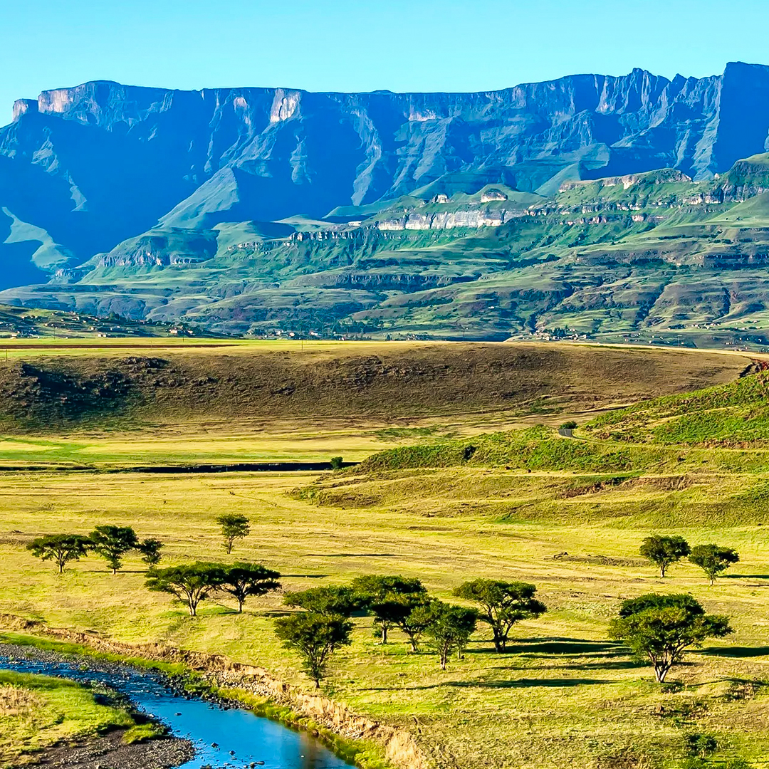 south africa landscape